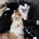 유황농장 이미지