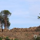 경포축산 이미지