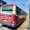 일선교통(주) 이미지