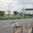 현대주유소세차장 이미지