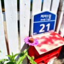 저지1521 이미지