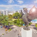 대한물류산업기계 이미지