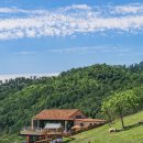 태백목장 이미지