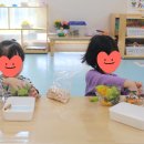 원예테라피 | [찾아가는 원예테라피 수업 후기] 대전 ** 어린이집 향기 담은 숲 친구