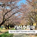 가산수피아 | 가산수피아 비수기 직접 다녀온 후기 지금 볼거리 솔직 정리