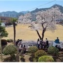 고흥여자중학교 이미지