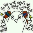 샵아이스 이미지
