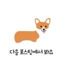 멍편한세상 이미지