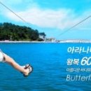아라나비 강릉점
