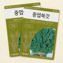 씨앗 - 남양주시 덕소로116번길 11 | 씨앗