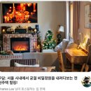 주방에 온 댕댕이 | [서울 안국역] 애견동반 가능 인사동 숙소 에어비앤비 우담ㅣ온가족 힐링여행 내돈내산 후기