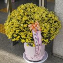 동구노인종합복지관 이미지