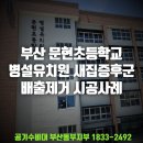 문현초등학교 병설유치원 이미지
