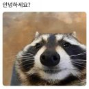 수정-80 | [메이븐아이폰스냅 본식촬영 후기] 원본80% 색감수정/땡큐카드+웨딩포스터/크몽 보정전문가 평점 5.0