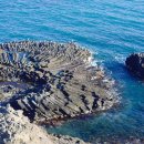 양남주상절리 이미지