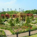 한밭수목원 이미지