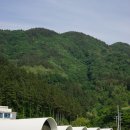 울릉도패밀리호텔 이미지