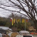 갈멜목장 이미지