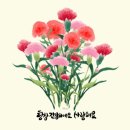 세종프라임요양병원 이미지