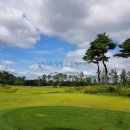 코리아CC콘도미니엄 이미지