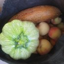 두두농장 이미지