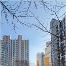 화산공인중개사사무소 이미지