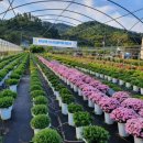 진산농장2 이미지