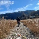 문들길 네이버블로그