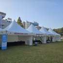 트레저박스보물상자 | [수원 축제] 리얼트레저페스티벌 평일 후기