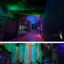 벨루가 | 여수 아쿠아리움 가격 아쿠아플라넷 상어 벨루가 후기