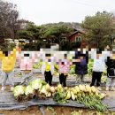 영창농장 이미지