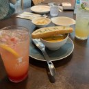 (주)닥터로빈 강서지점 | 광화문역디타워맛집 닥터로빈 광화문점 내돈내산 후기 | 스프, 피자, 파스타, 에이드