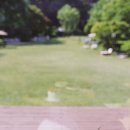 여주-0661 네이버블로그