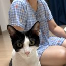 태민주