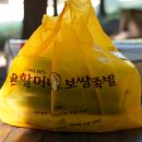원할머니보쌈(나운점) | 편백나무 숲에서 원할머니 보쌈 점심특선. ㅋㅋ