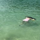 행복한 71억 in 코타🏝️