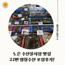 22번수산 | 알쭈꾸미가 제철인 노은수산물시장 맛집 22번 염창수산 포장 후기!