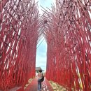 술샘박물관(젊은달 와이파크) 이미지