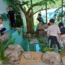 마동초교병설유치원 이미지