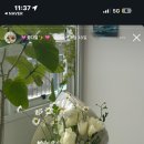 플로시아 이미지