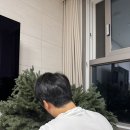(주)마켓메이커 | 당근마켓으로 크리스마스 트리 구매 후기 / 건강한, 행복한소비