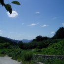 안동추어탕 이미지