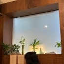 성태 | 부산역 근처 맛집 성태 부산 1티어 텐동맛집 내돈내먹