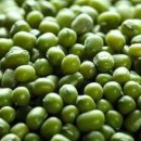 녹두마을 이미지