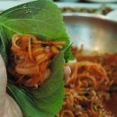 남포물회