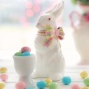 심심토끼 이미지