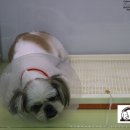 정이동물병원 이미지