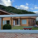 호화리안 이미지