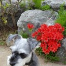 꾸지나무골 행복한 하우스 이미지