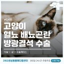 신탄진동물병원 이미지